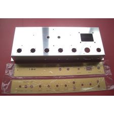 Marshall Style 18 Watt, TMB Amp chassis inclusief plexis