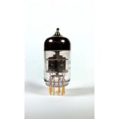 Buis 6922 (=ECC88 / E88CC/6DJ8) gold EH