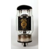 Buis KT88 matched EH